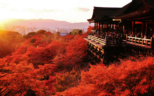 清水寺 紅葉 画像